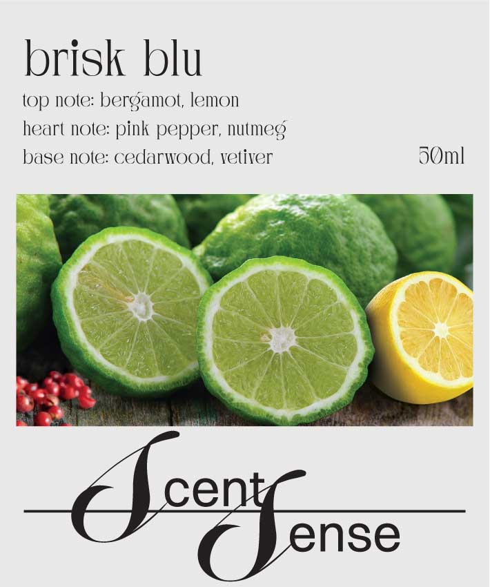 Brisk Blu For Men Inspired by Bleu De Channel
