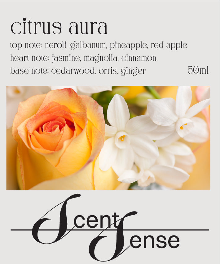 Citrus Aura For Her Inspired by D&G Light Blue
